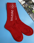 Embroidered stockings-D232
